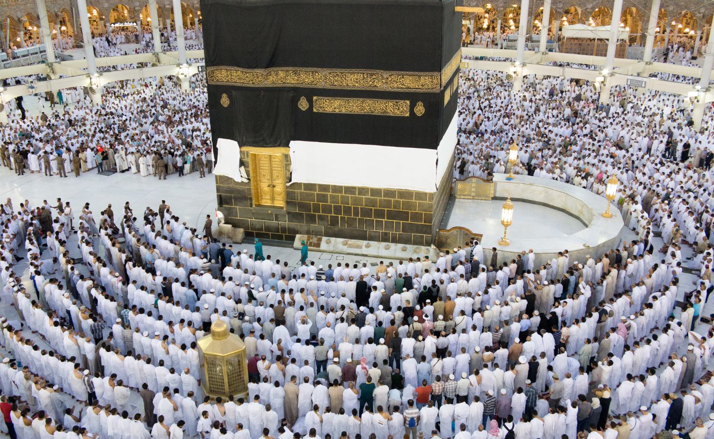 Untitled design - 2026-02-03T111740.535