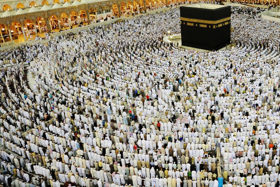 Untitled design - 2026-02-06T150304.280